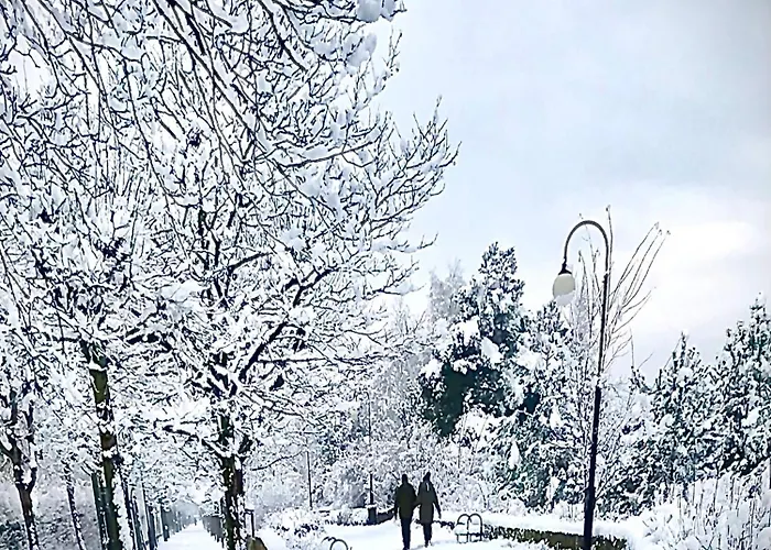 Homestay szállás Kwatera Prywatna Maja *